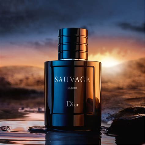 dior sauvage elix|dior sauvage elixir best price.